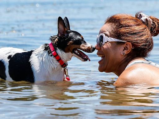 ¿Crees que este julio en Miami ha sido el más caluroso? Expertos revelan cifras sorprendentes