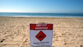 ‘Shark!’ Swimmers race to save bleeding man off Southern California beach