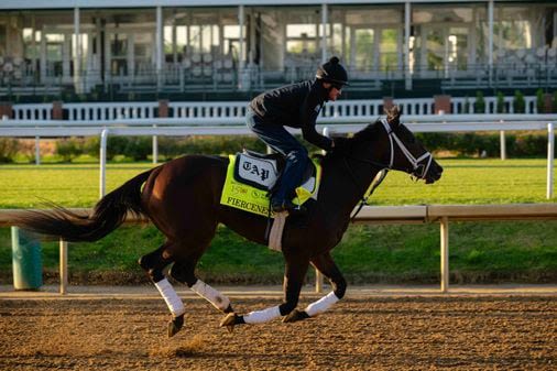 Outspoken horse racing owner hopes Fierceness can snap his Kentucky Derby hex - The Boston Globe