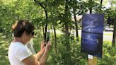 Ontario Pathway trails now feature local artwork of county's beauty and landmarks
