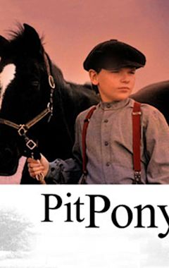 Pit Pony