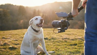 10 Famous TV Dogs Who Captured Our Hearts and Never Let Go