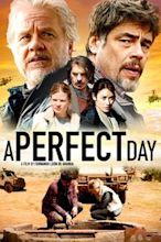 A Perfect Day (2015 film)