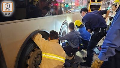 旺角貓咪竄困巴士車底獲救 彌敦道交通一度癱瘓