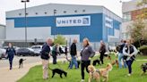 100 puppies visit Newark airport for guide dog training