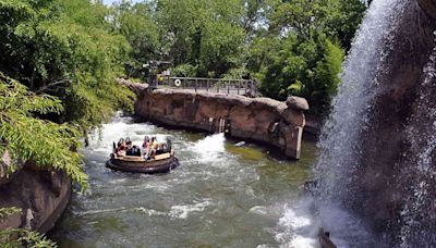 Watch riders jump off Six Flags raft ride into water after attraction gets stuck: 'Rough day'