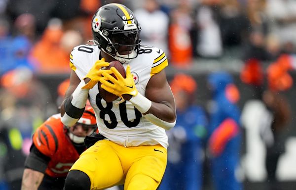 Steelers' Darnell Washington Expecting Breakout Season
