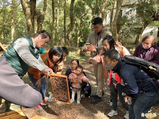 新北客家「山客尞尞」開跑 返鄉青年帶隊探秘三峽客庄創生