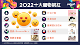 這些阿貓阿狗比人還紅！「2022十大寵物網紅」你都認識嗎？百萬三冠王又是誰？