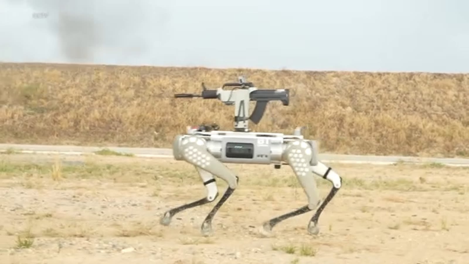 China's military shows off robot dog with automatic rifle mounted on its back