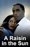 A Raisin in the Sun (2008 film)