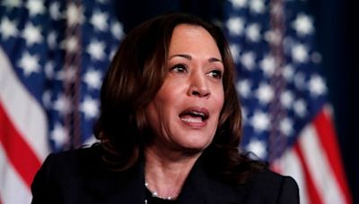 Kamala Harris' opening argument: Vote for me and I'll decimate Project 2025