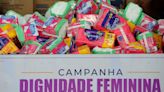 Projeto assegura distribuição de absorvente feminino em ao menos um local por município
