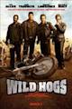 Wild Hogs