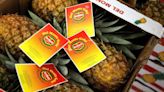 Rare Rubyglow pineapple - costing $395 - being sold at California produce stand