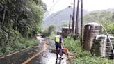 連日降雨 台中和平區烏石坑巷路樹傾倒 (圖)