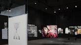 Fondation Cartier Debuts "The Yanomami Struggle" in North America