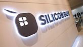 Silicon Box to pick Piedmont for $3.4 bln Italian chip plant - ET Telecom