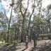 Warrandyte State Park