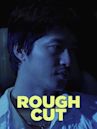 Rough Cut (2008 film)