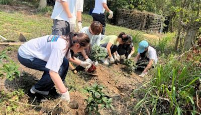 【植樹減碳】工銀亞洲推動青年植樹護苗 平台錄逾百萬公斤減碳量