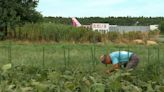 Japanese farmer vows to stay on ancestral land in middle of Narita airport