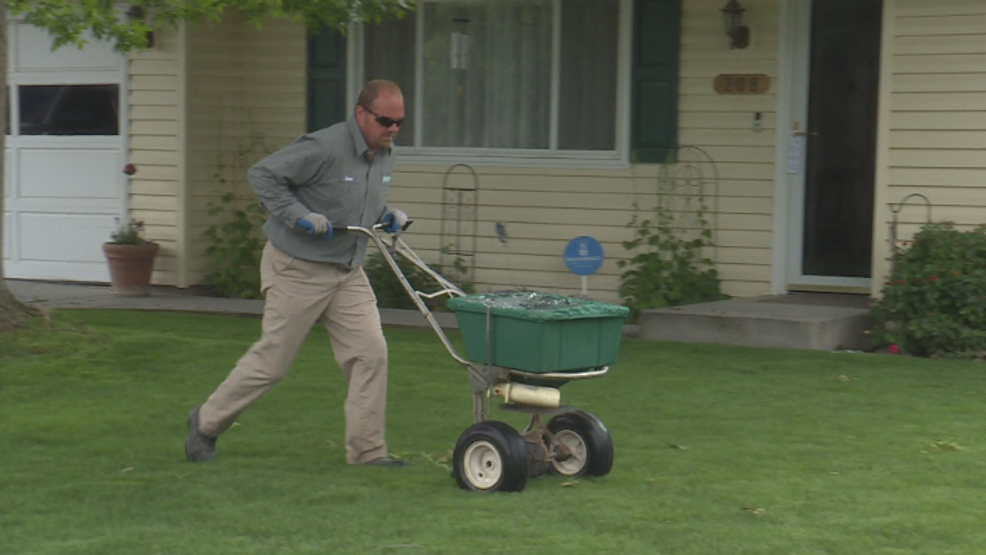 Japanese Beetle Infestation Continues in Caldwell