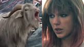 The sound of the screaming goats in 'Thor: Love and Thunder' is from a Taylor Swift meme, says director