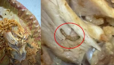 Hyderabad Man Finds Bugs In Chicken Biryani Ordered From This Restaurant