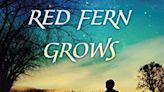 Where the Red Fern Grows, Now 19% Off