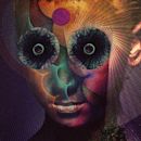 The Insulated World