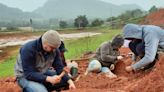 'Well-preserved' dinosaur fossil revealed by Brazilian flood