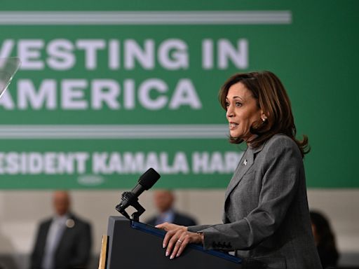 Kamala Harris will continue Biden's climate policies, say experts. But is that good enough?