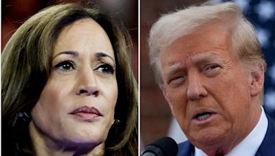 Major US labour union declines to endorse either Harris or Trump