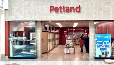 More dog owners say Petland sold them sick puppies for thousands of dollars: Capitol Letter