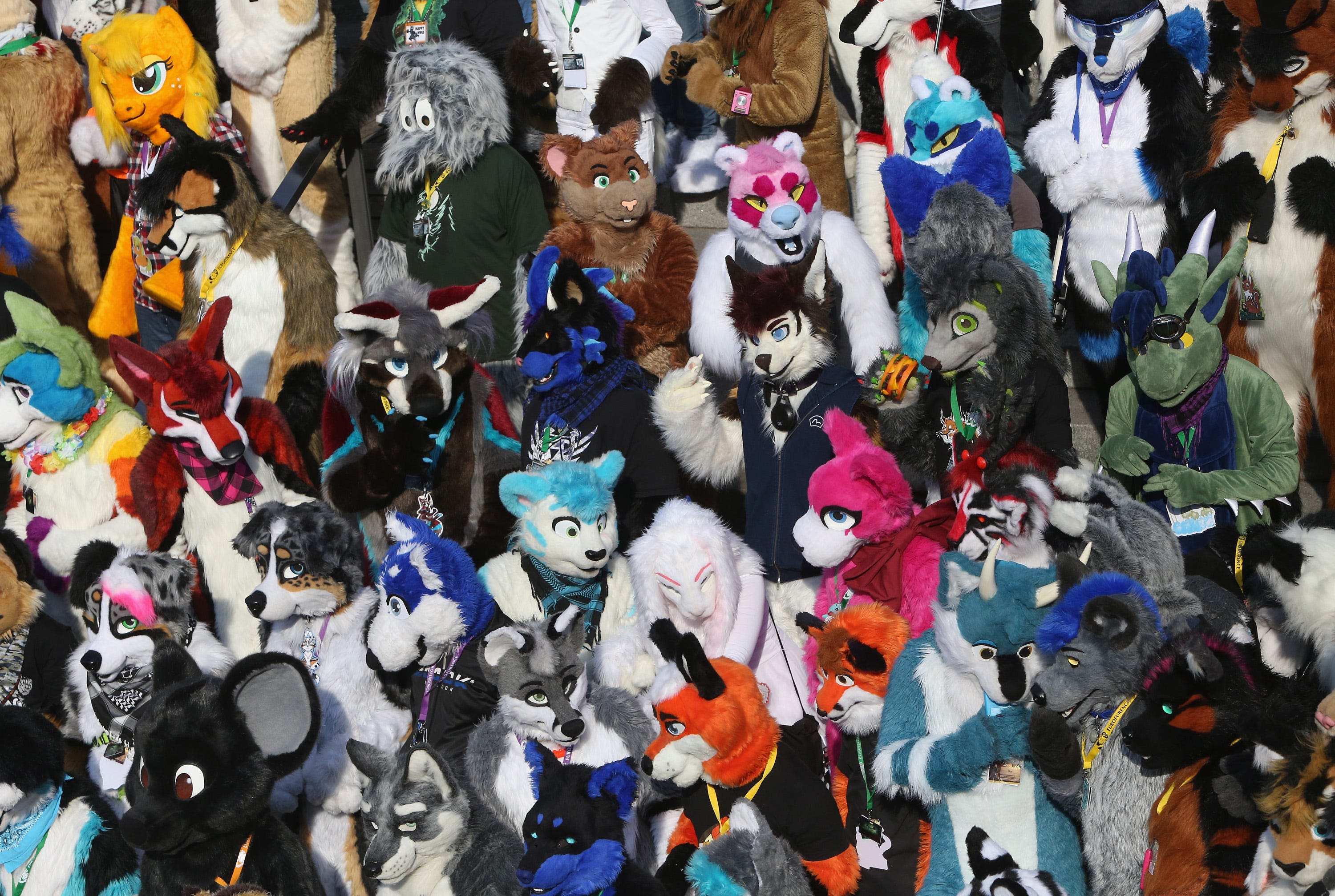 Utah school district addresses rumors of furries 'biting,' 'licking,' reports say