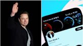 Elon Musk says Twitter is working on a feature to show users if they've been shadowbanned