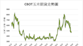 《農產品》巴西玉米預期減產 CBOT玉米上漲1.3%