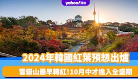 韓國紅葉2024｜紅葉預想出爐！雪嶽山最早轉紅、比去年遲2天 1...