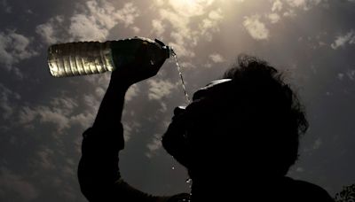 Heatwave: 56 heat-related deaths reported in India from March to May