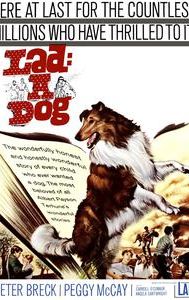 Lad: A Dog (film)