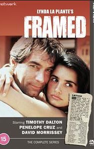 Framed (TV series)