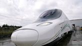 Talgo's top shareholder in talks with Stadler over takeover bid, report says