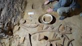Man finds ancient mammoth bones in his wine cellar