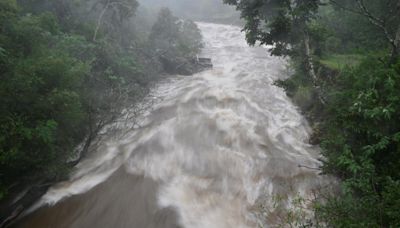 Heavy rain in the Nilgiris leads to closure of tourism spots