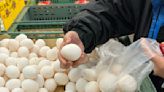 蛋價走低買氣仍疲軟 產地加速減產寡產母雞