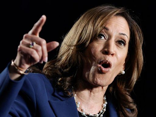 Kamala Harris slams Trump over 'fear and hate' at first rally