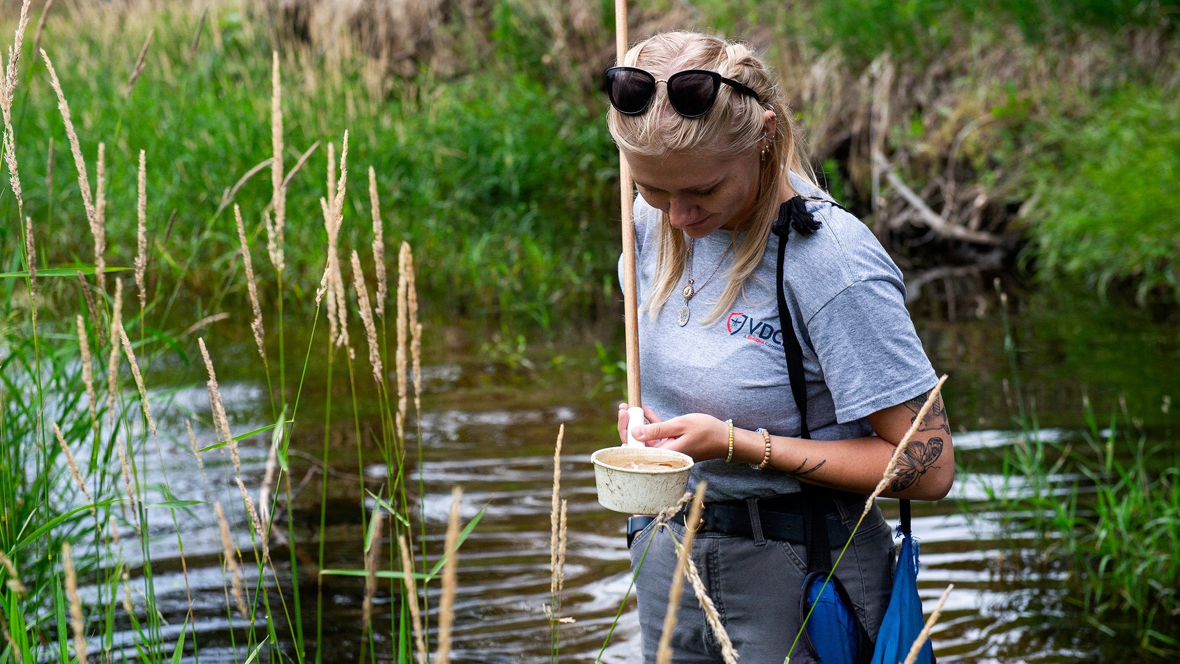 West Nile virus continues to plague Colorado. Here's what is being done to prevent it