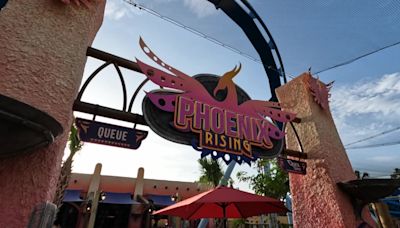 New 'Phoenix Rising' coaster opens to guests at Busch Gardens Tampa