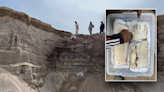 Quarry workers just doing their jobs make prehistoric discovery